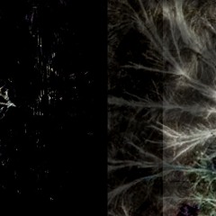 extra dimensional