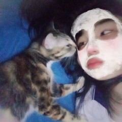 Meow-chanᰔᩚ