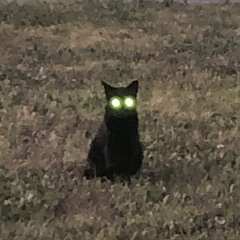 fortyozofgloom