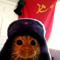 мини точка