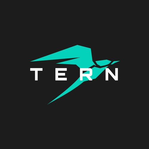 Tern’s avatar