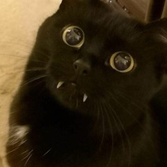 Luhkaaa