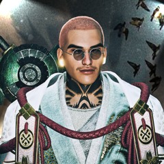 OTTO PSi
