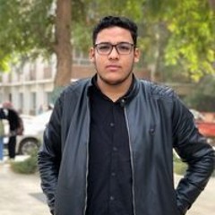 Mohamed Emad Amer