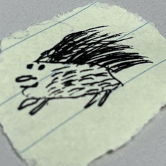 dunny kruger