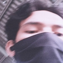 C13L
