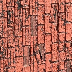 sword of the berserk