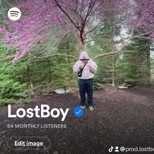 LostBoy’s avatar
