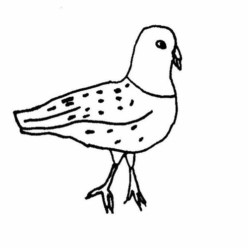 Pigeon personne’s avatar