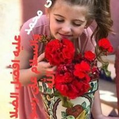 سعد ابو حبيبه