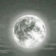 Gray Moonlight