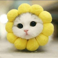 맹구