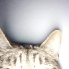 неу