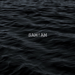 samiam.