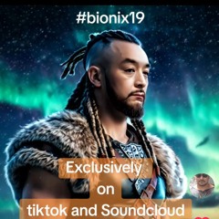 bioniX19