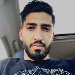 Shahin Mirza