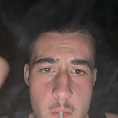 dani_gr52