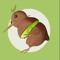 Kiwi Dub