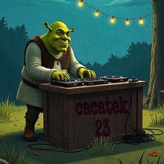 cacatek23