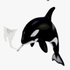 𝕱𝓻𝓪𝓷 ༉