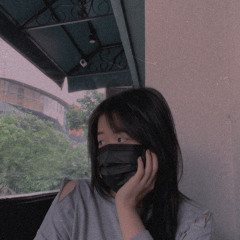 vịtp