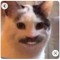 Camil