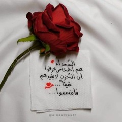 نوارة