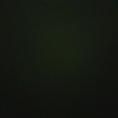 User 431215010