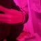 ihxtedrugs