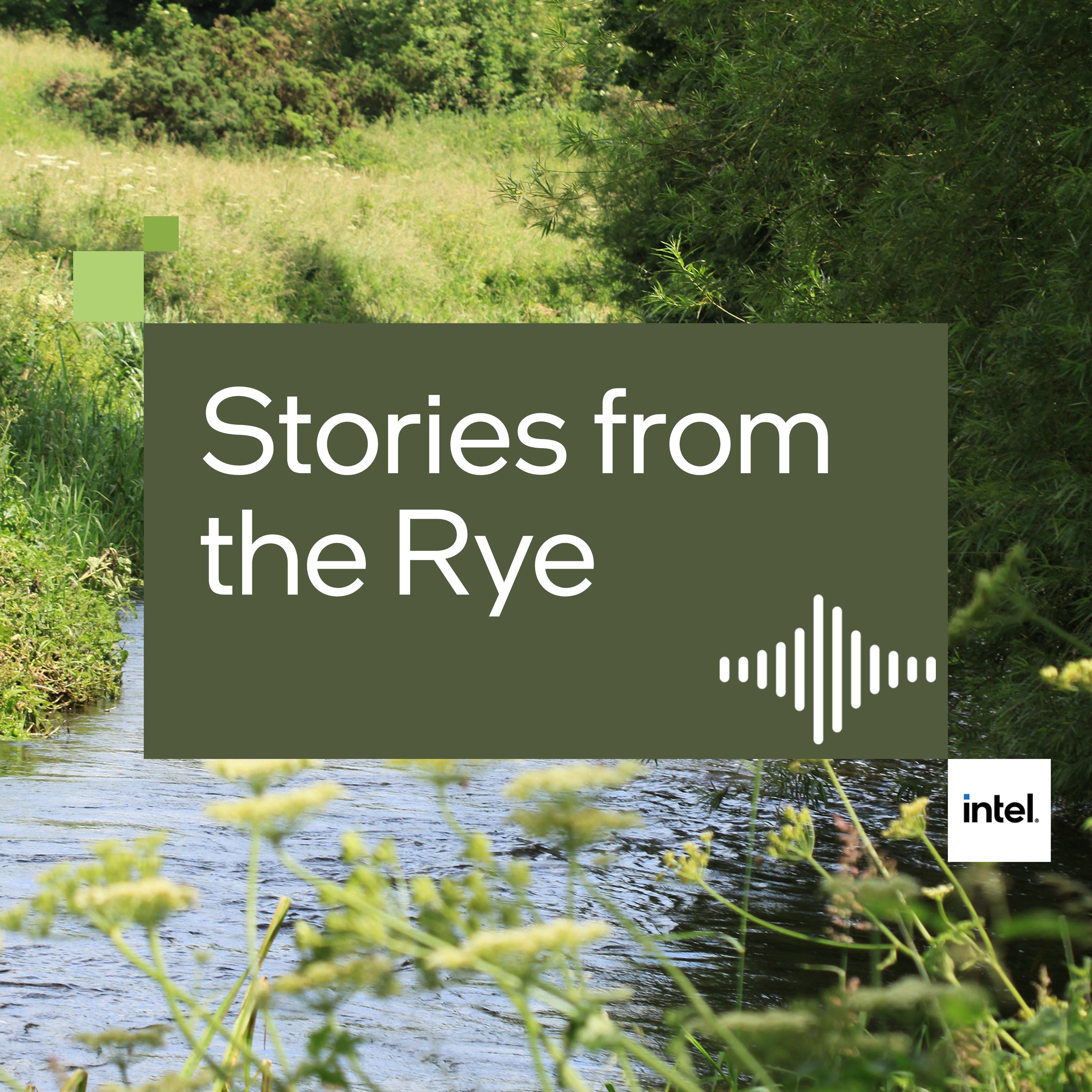 Stories from the Rye