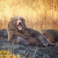 Tobias Bendtzen Smith