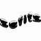 scfits