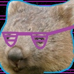 Neon Wombat