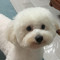 Thịnh Anh
