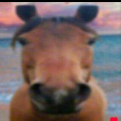 andrea_gentili