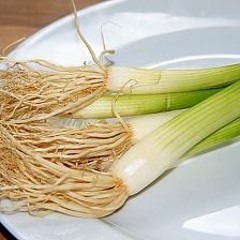 파뿌리