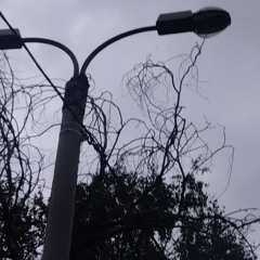 fgjjcjjjh