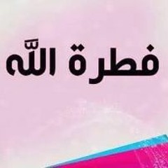 Mohamed Elsayed Aboyoussif