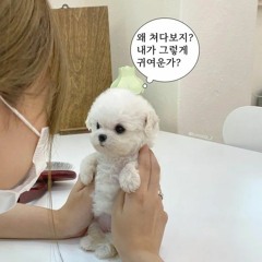 이빈희