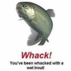 user50245