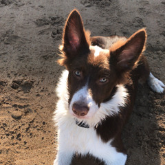 Pablo Esperón Fernández