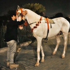 Maha Hussain