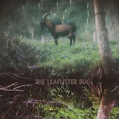Leaflitter Bug