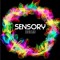 Sensory Overload Music Labs