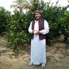 Abd Elmenam Elmoghazy