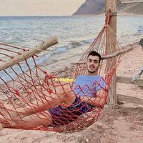 Ahmed Elsonbaty’s avatar