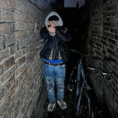 37Lumedz