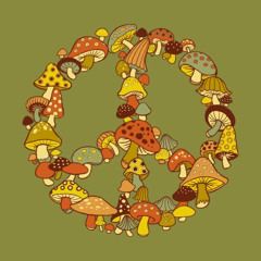 trippy lil hippie 🧚🏼✨💫🍄🦕