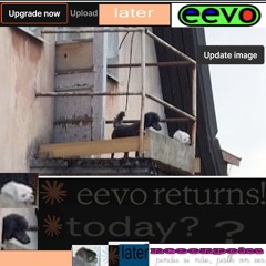 (eevo)