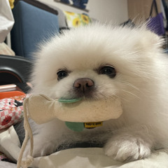 양리미